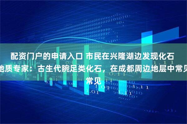 配资门户的申请入口 市民在兴隆湖边发现化石 地质专家：古生代腕足类化石，在成都周边地层中常见
