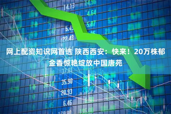 网上配资知识网首选 陕西西安：快来！20万株郁金香惊艳绽放中国唐苑